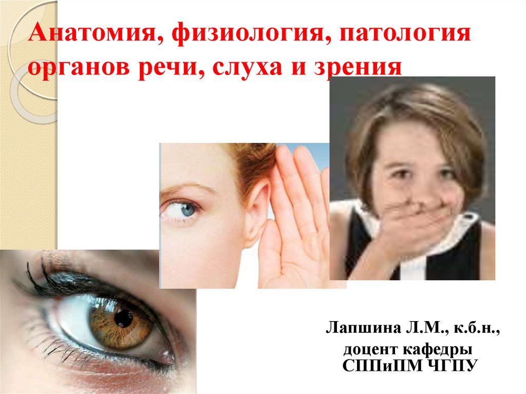 Анатомия, физиология, патология органов речи, слуха и зрения .