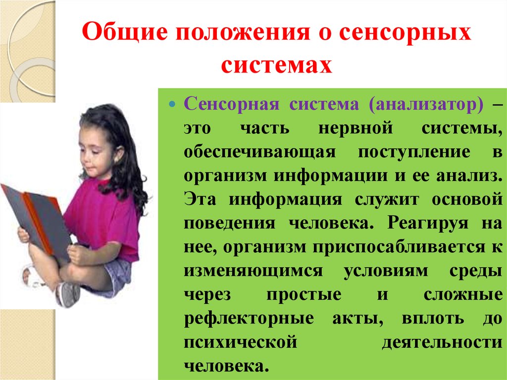 Взаимосвязь сенсорных систем. Органы сенсорной системы человека. Из чего состоит сенсорная система. Сенсорный человек это. Сенсорная организация человека.