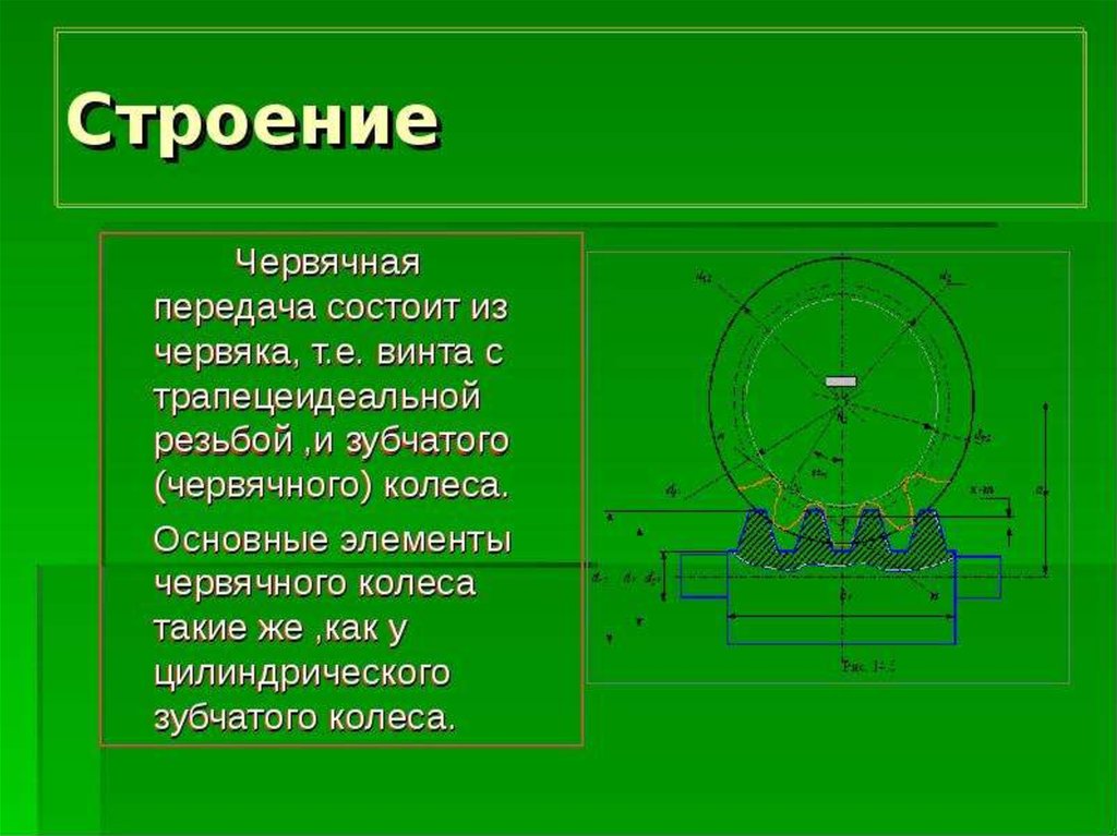 Червячные передачи техническая механика презентация