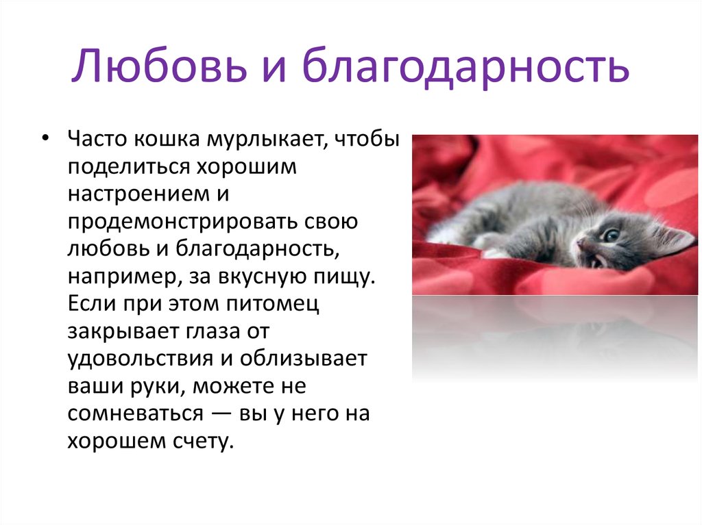 Любовь и благодарность