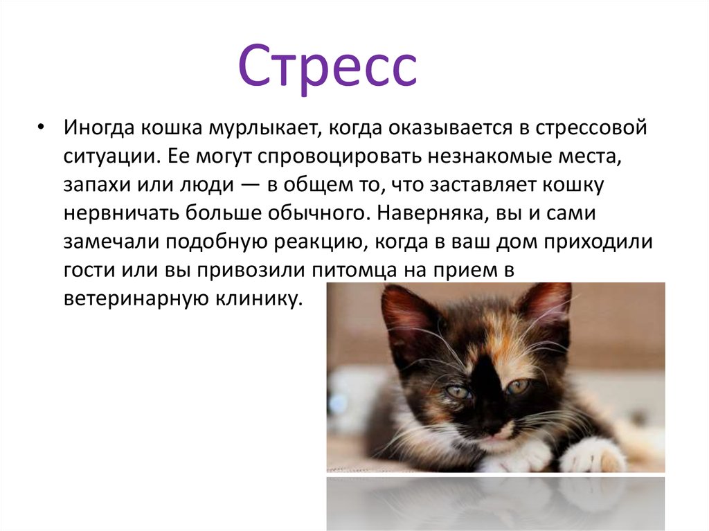 Стресс