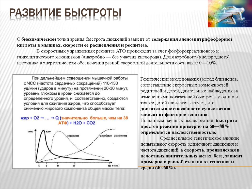 Развитие скоростной. Развитие быстроты. Совершенствование скорости. Совершенствование быстроты. Условия при развитии быстроты.