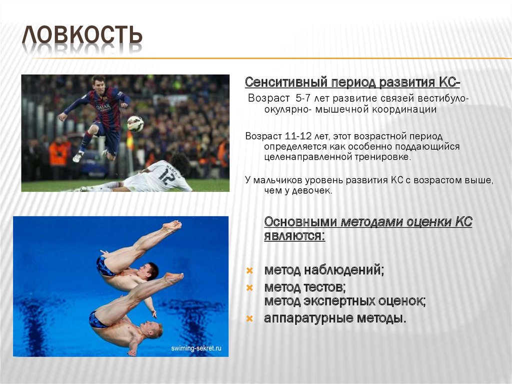 Периоды физического развития. Физическое качество ловкость. Ловкость сенситивный Возраст. Ловкость презентация. Ловкость развитие ловкости Возраст.