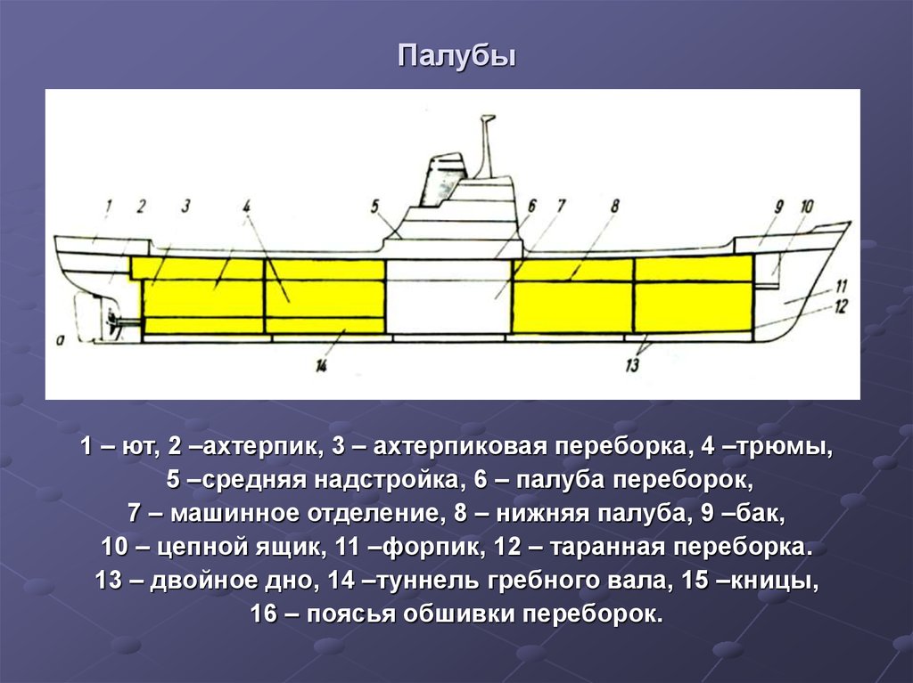 Схема туннеля гребного вала