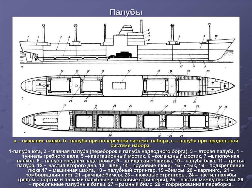 Общее расположение. Название палуб. Название палуб на судне. Главная палуба на судне это. Строение палубы.