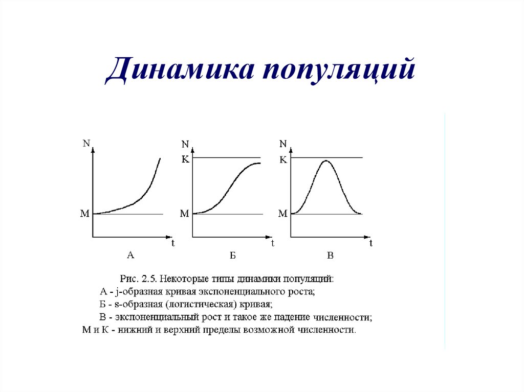 Какой метод для определения численности популяции показан на рисунке