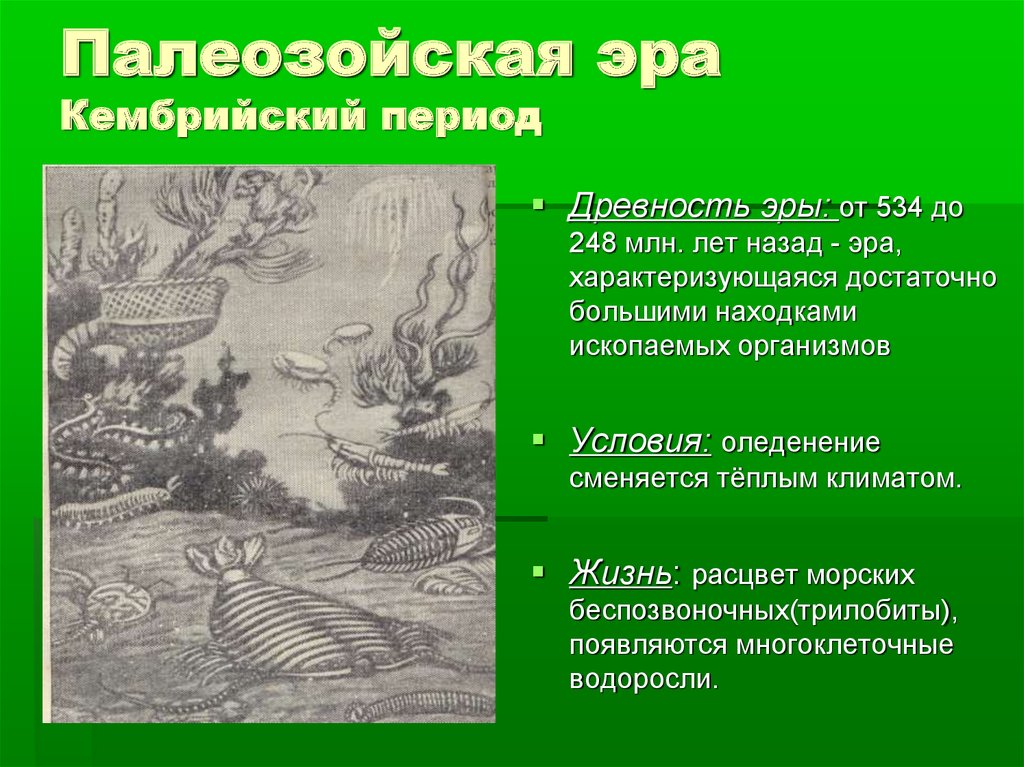 4 период палеозойской эры. Палеозой Эра Кембрий. Эра палеозой период Кембрий. Период палеозойской эры была Эра. Возраст палеозойской эры.