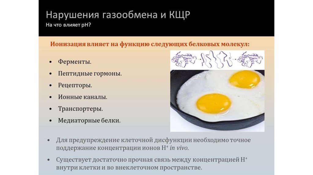 Ионизация белков. Газовый состав крови презентация. Нарушение газообмена и КЩР. Медиаторная функция белков.