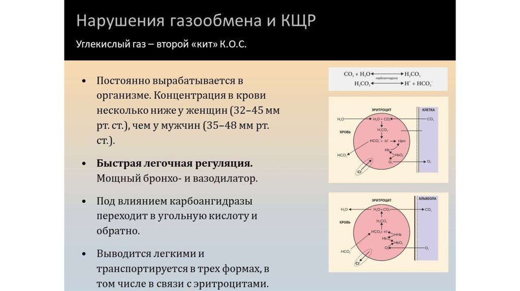 Газа втором. Нарушение газообмена. Нарушение газообмена причины. На нарушение газообмена указывает. Виды нарушений газообмена.