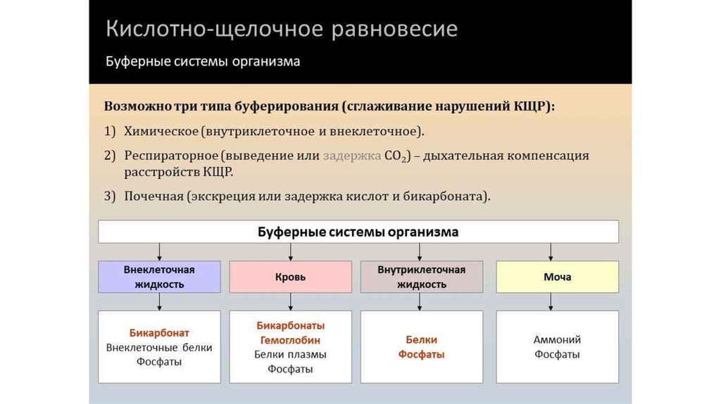 Буферные системы в организме человека проект