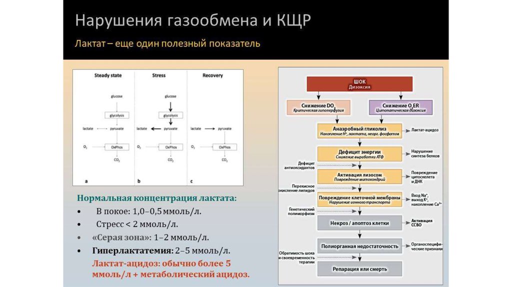 Что значит лактат. Показатели нарушение КЩР. Показатели газообмена. Содержание лактата. Нарушение газообмена и КЩР.