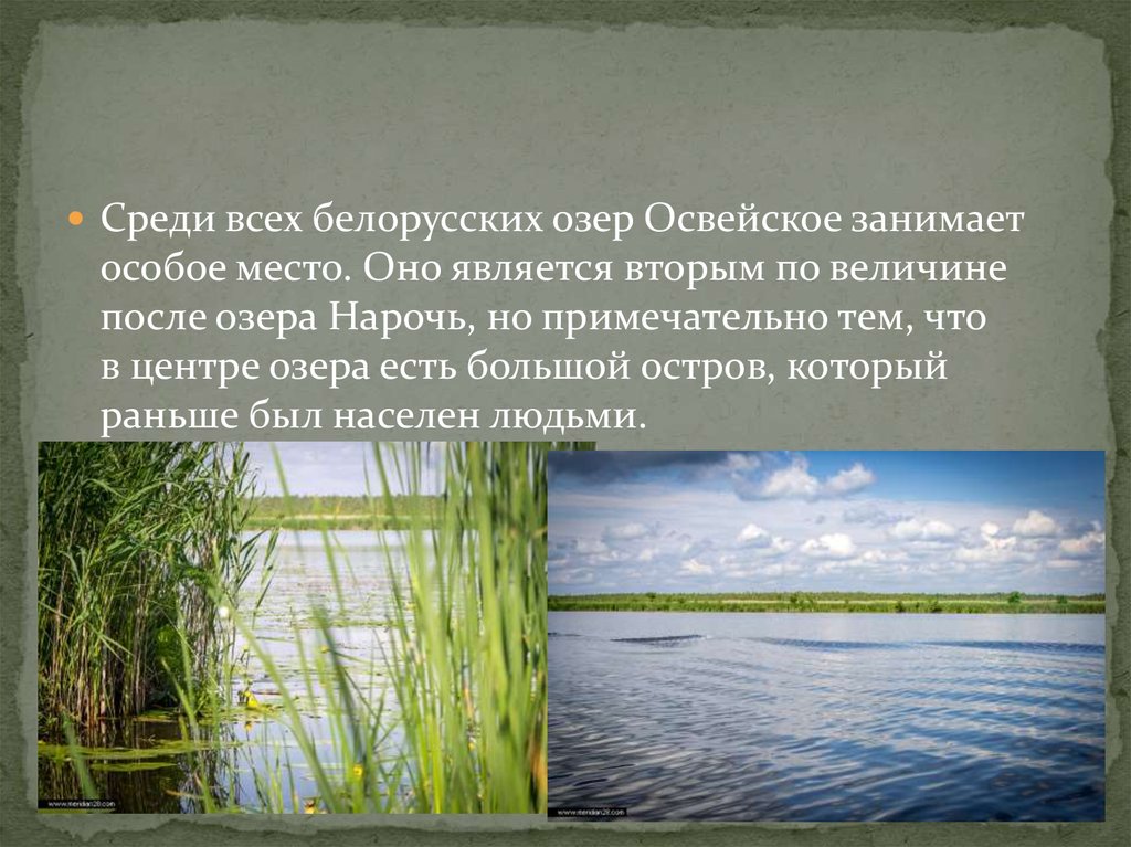 Текущее положение освейское. Освейское озеро Беларусь. Освейское озеро. Нарочь и Освейское озеро.