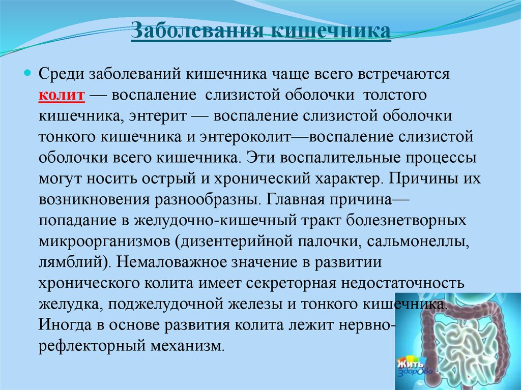 Нарушение кишечника причины. Заболевания кишечника сообщение. Презентация заболевания кишечника. Сообщение на тему заболевания кишечника.