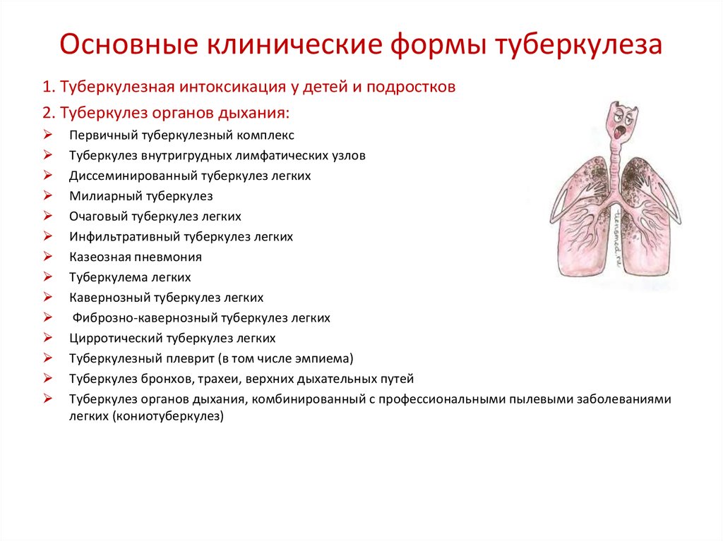 Туберкулез в каком возрасте. Основные клинические синдромы туберкулеза легких. Туберкулёз лёгких основные клинические проявления. Основные клинические симптомы первичного туберкулеза. Основные клинические формы первичного туберкулеза органов дыхания.