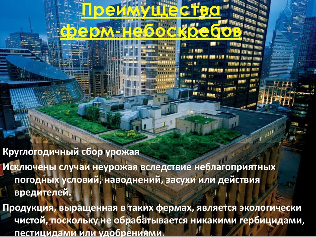 Преимущества ферм-небоскребов