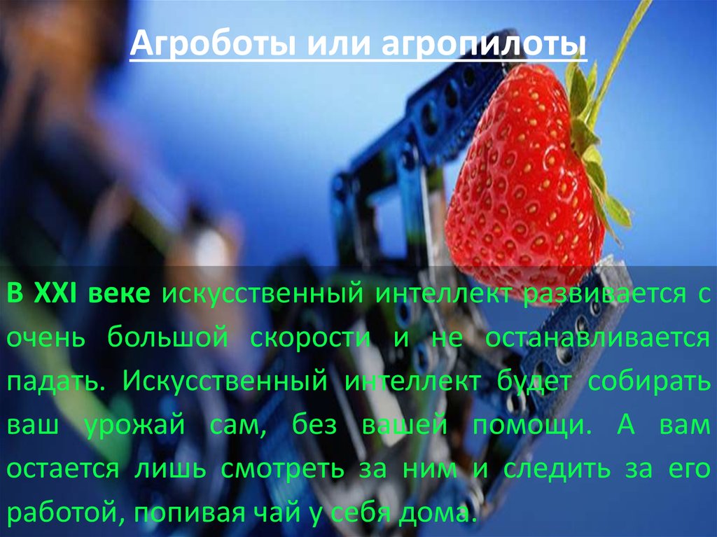 Агроботы или агропилоты