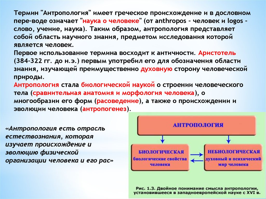 Основные понятия антропологии