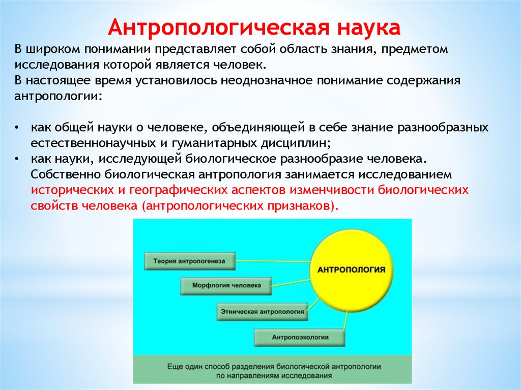 Антропология предмет науки