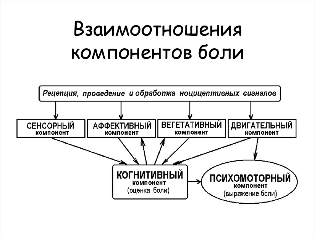 Боль патофизиология презентация