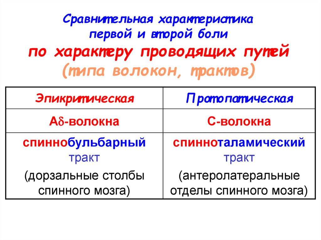 Первому характеристика