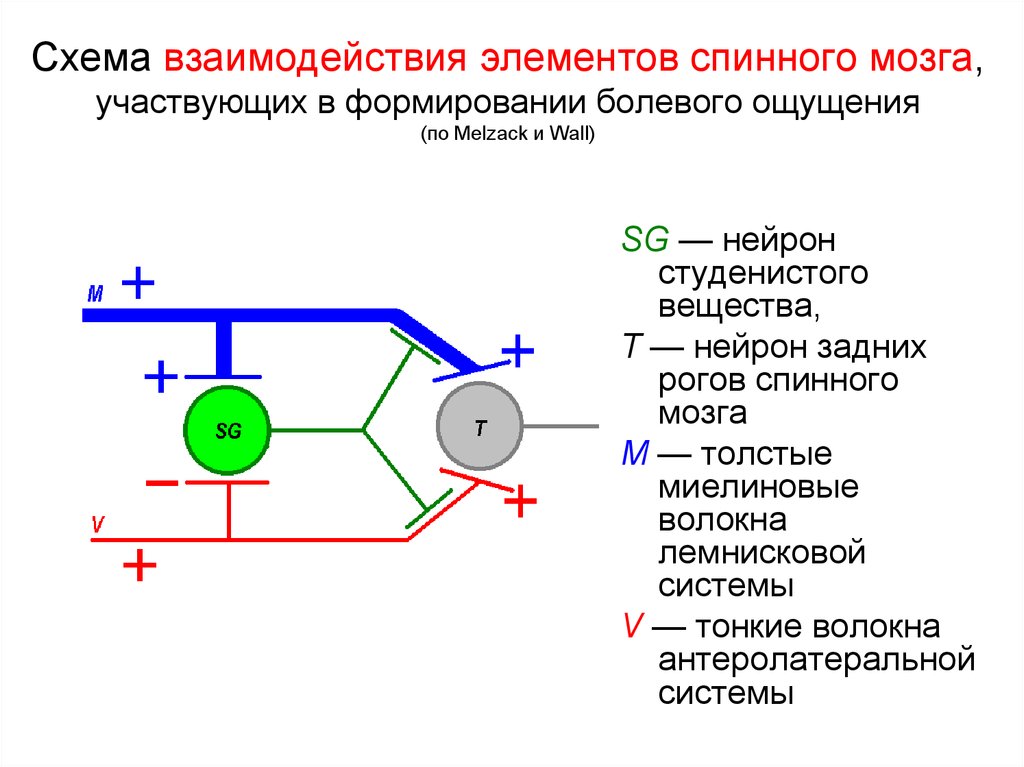 Взаимодействующие элементы