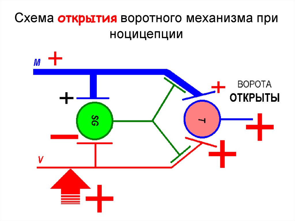 Раскрыта схема