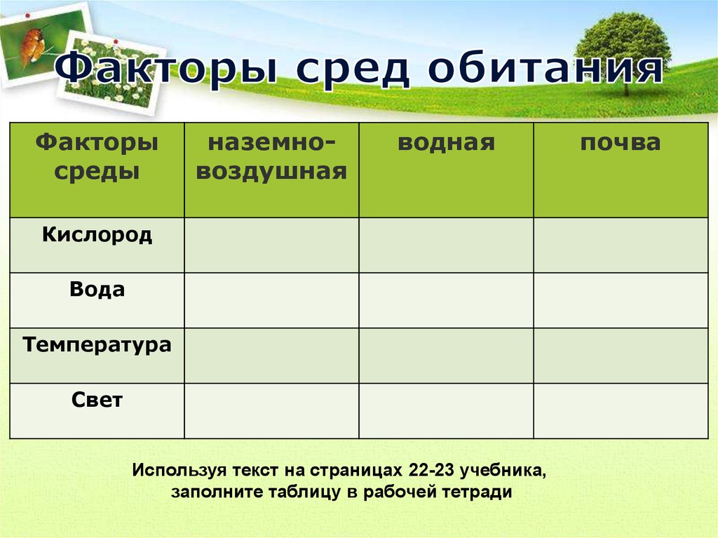 Презентация на тему условия жизни на земле среды жизни и экологические факторы 9 класс