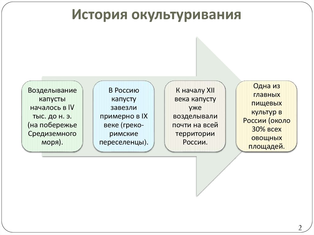 Роды культуры