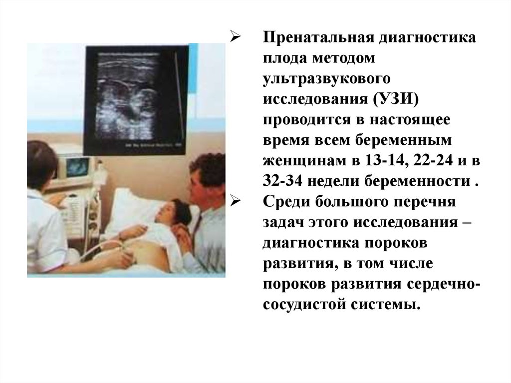 Пренатальная диагностика плода