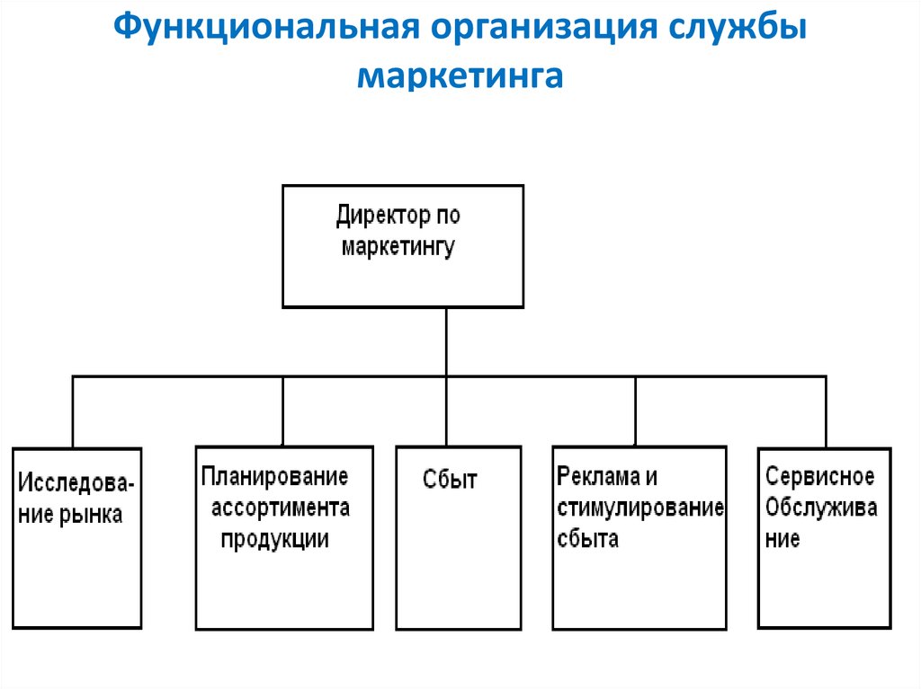 Структура службы организации