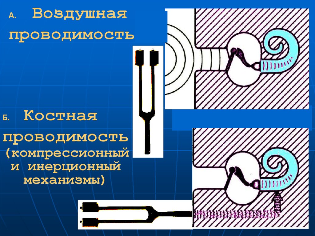 Костная проводимость. Опыт исследование костной и воздушной проводимости. Костная проводимость звука. Воздушная и костная проводимость звука.