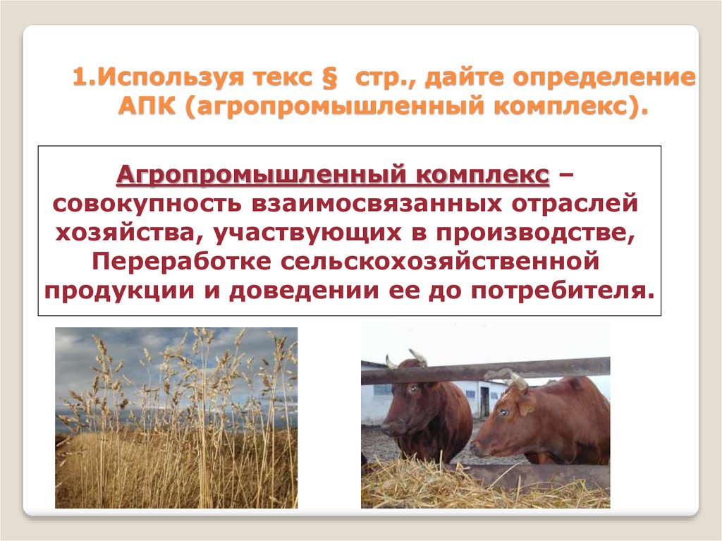 Определение сельскохозяйственная продукция