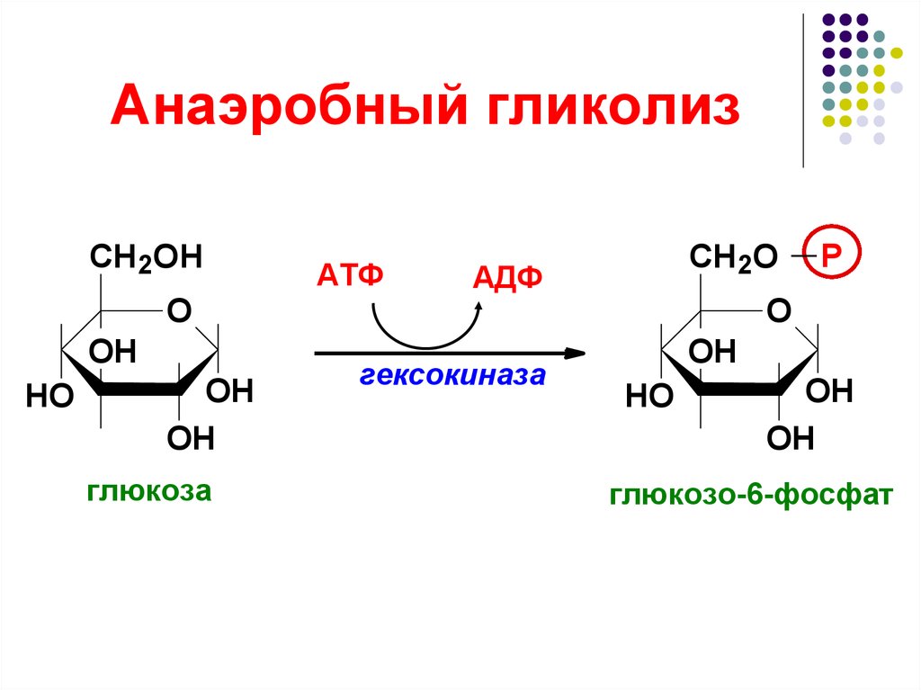 Гликолиз схема процесса