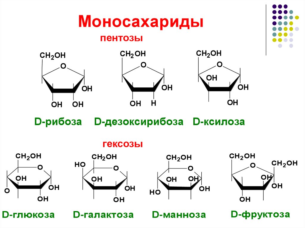 Дисахариды и полисахариды 10 класс химия презентация