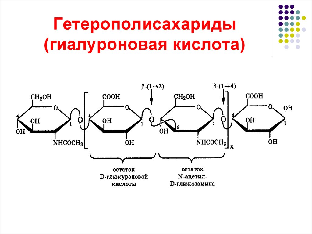 Гетерополисахариды (гиалуроновая кислота)