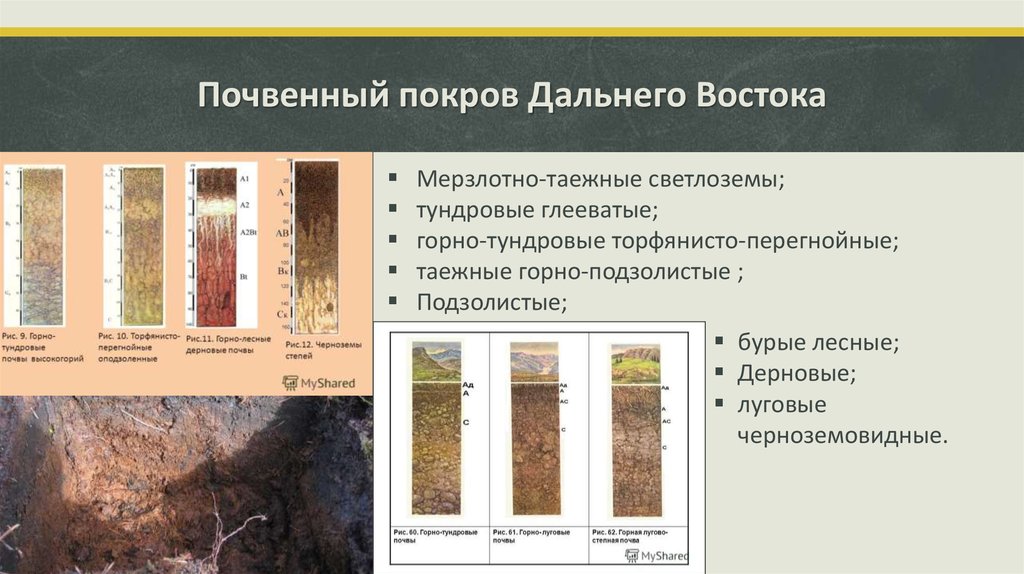 Почвенные природные ресурсы. Почвенный Покров дальнего Востока. Типы почв дальнего Востока. Почвы смешанных лесов дальнего Востока. Строение почвенного Покрова.