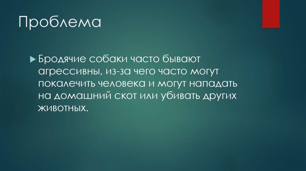 Проблемы каждой. Бродячий скот ответственность. Обращение на бродячий скот. Проблема животных динаманичестности человека.