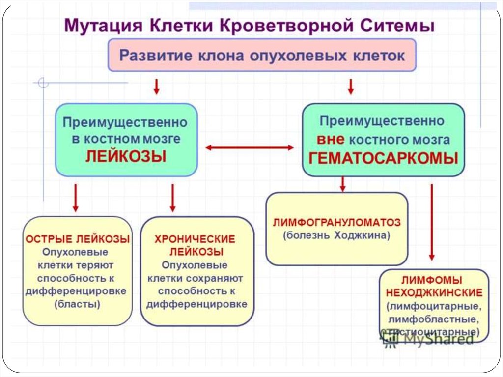 Опухоли кроветворной системы презентация