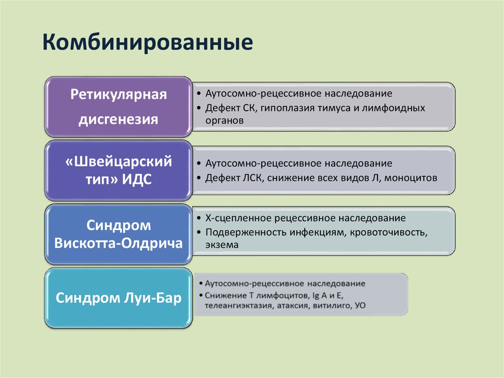 Иммунопатология патофизиология презентация