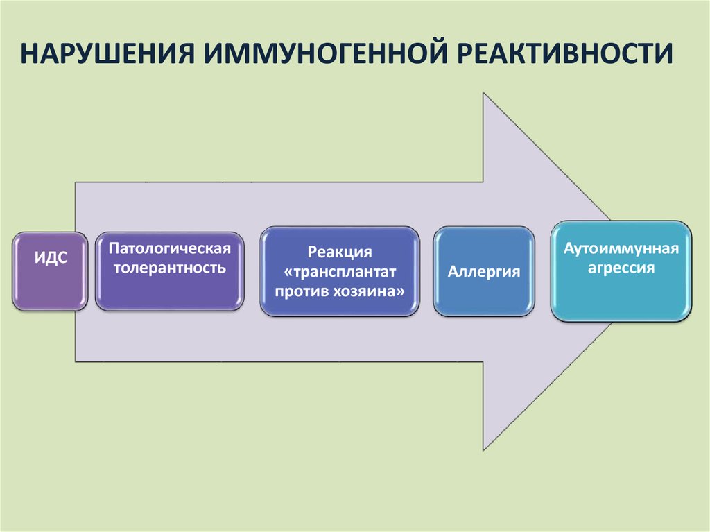 Иммунопатология патофизиология презентация