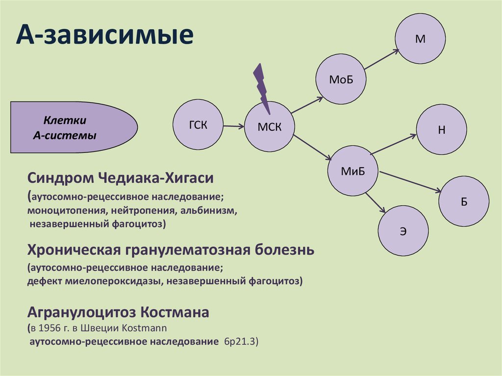 Метилурацил при анемии схема