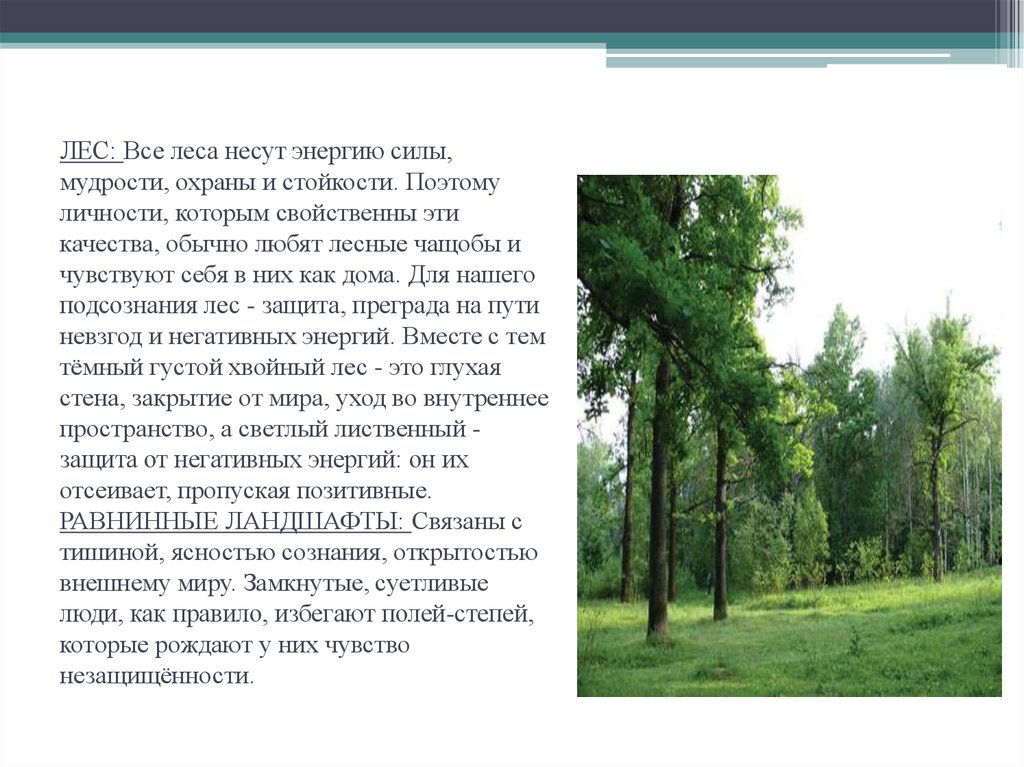 Несущие леса. Как лес любил человека. Летом в лесистой чащобе появляются полчища комаров.