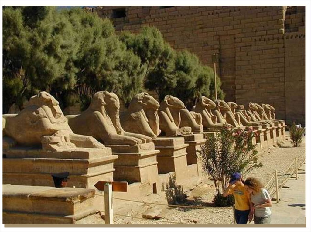 Аллея сфинксов в египте