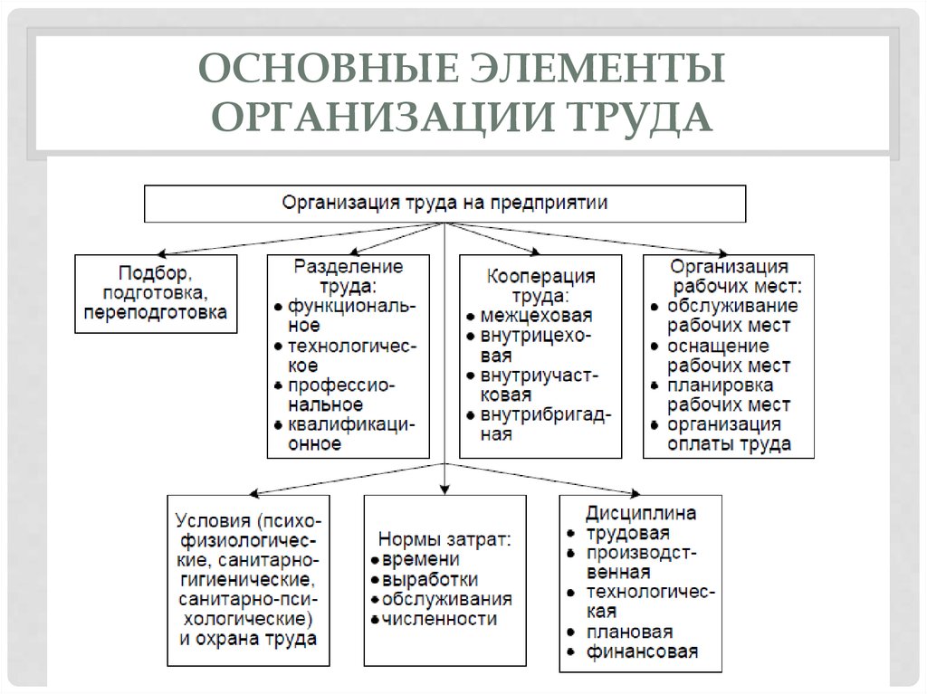 Какие элементы составляют. Перечислите элементы организации труда:. Укажите основные составляющие системы организации труда. Составьте схему элементов организации труда. Элементы содержания организации труда на предприятии.