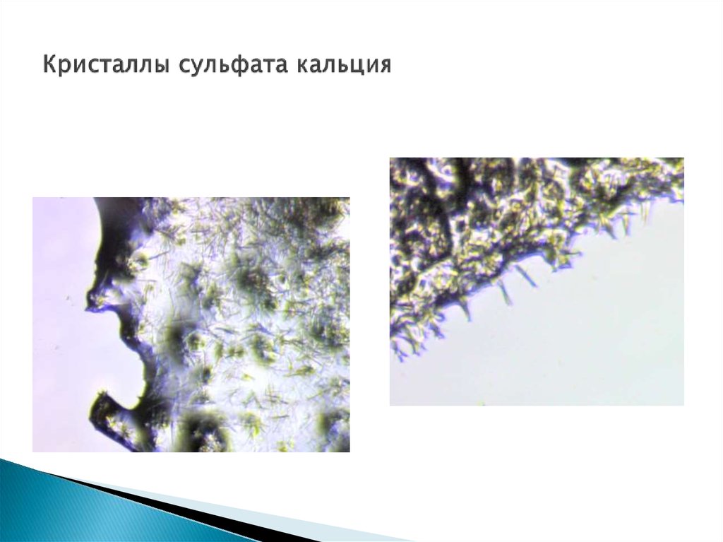 Кристаллы сульфата кальция