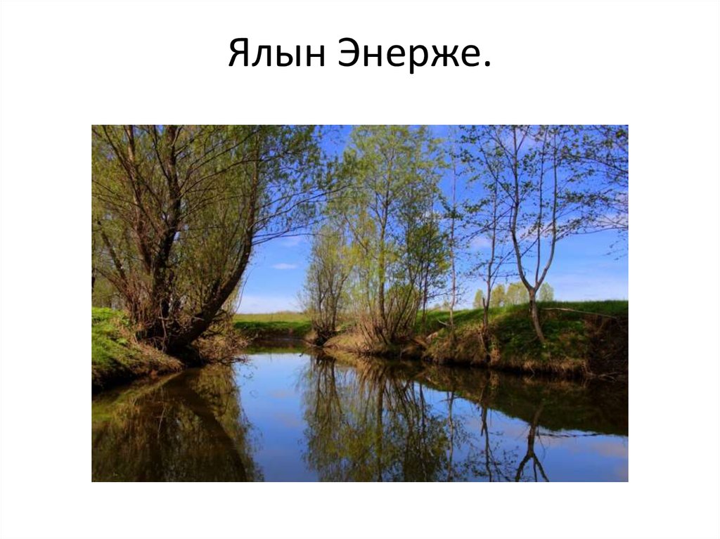 Ялын Энерже.