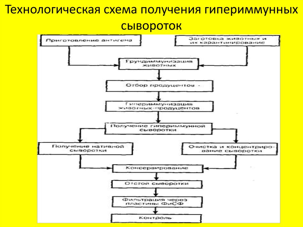 Схема производства вакцин