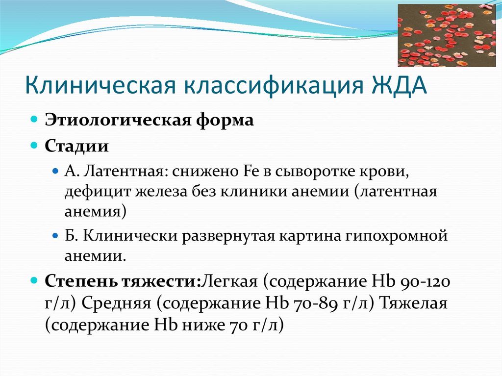 Железодефицитная анемия код мкб 10 у взрослых. Жда классификация по стадиям. Классификация жда по степени тяжести. Клиническая классификация железодефицитной анемии. Стадии железодефицитной анемии.