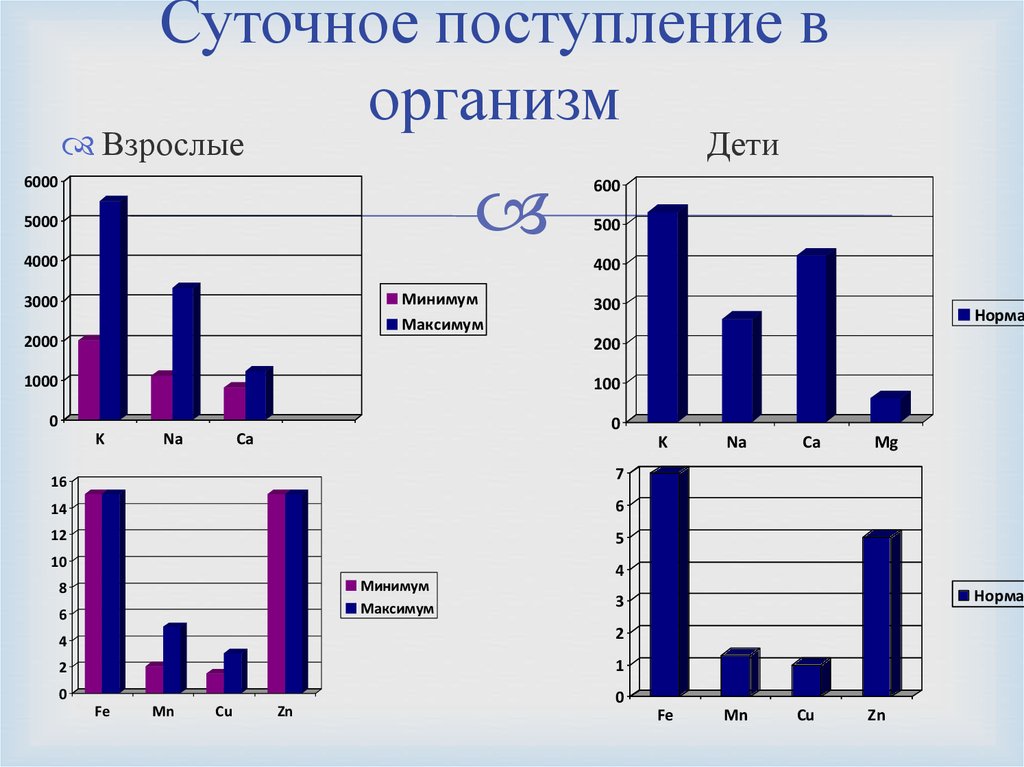 Суточный прием