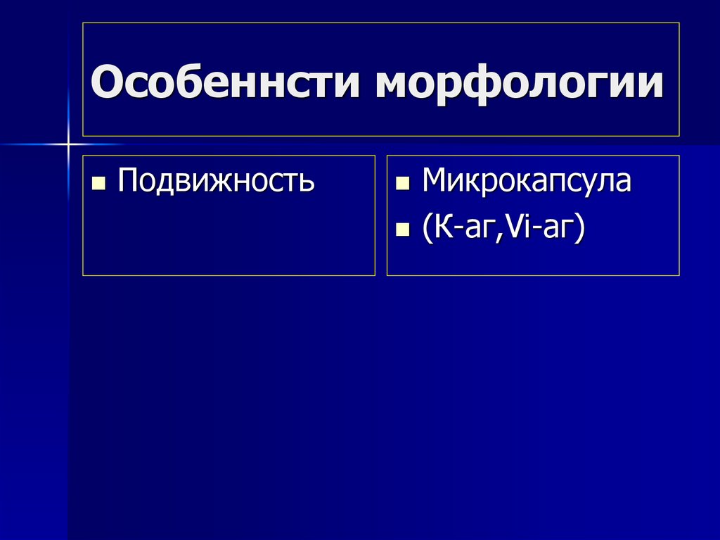 Особеннсти морфологии